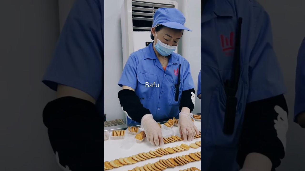 biscuit packaging machine,cookies packaging machine,cracker packaging machine,flow wrapper,flow-pack