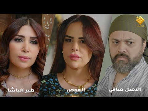 طير الباشا العوض الاصل صافي اجمل تجميعات حارة شوف 