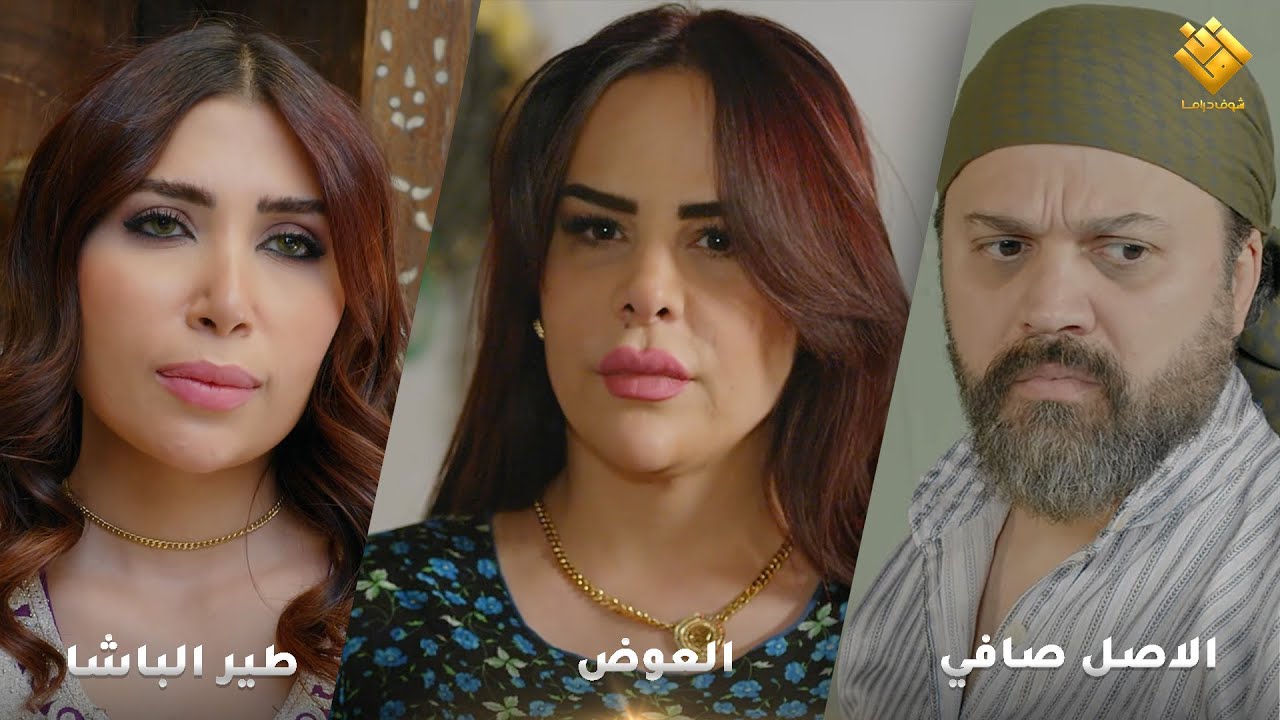 طير الباشا - العوض - الاصل صافي -  اجمل تجميعات حارة شوف