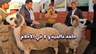 عبد الحق ابن رضى يبهر عبد الحق زياش و الخال في الزاوية بجمال الصردي الحقيقي