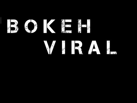 Full HD VIDeo Bokeh Teratai | Bokeh Viral