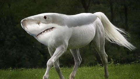 Rayman Legends - o-1-3 segmented speedrun in 30.xx (w/ froZen)