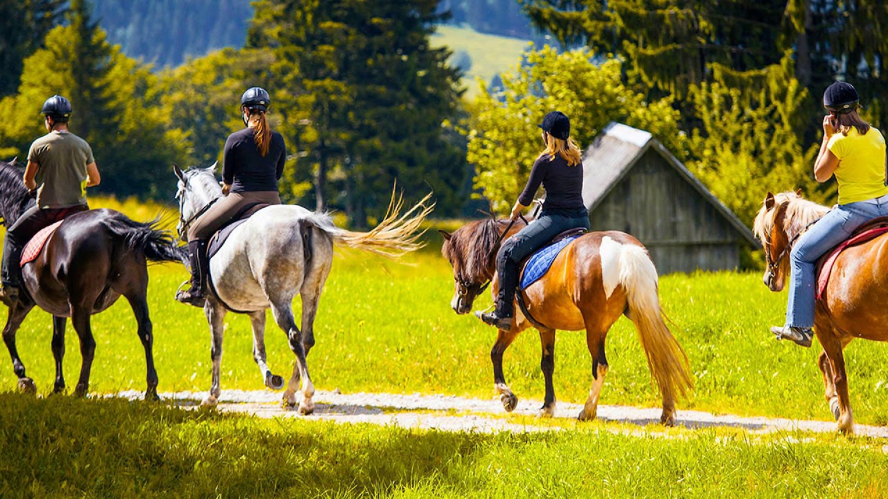 Riding a Horse - Meditation Guide 2019 Episode 6