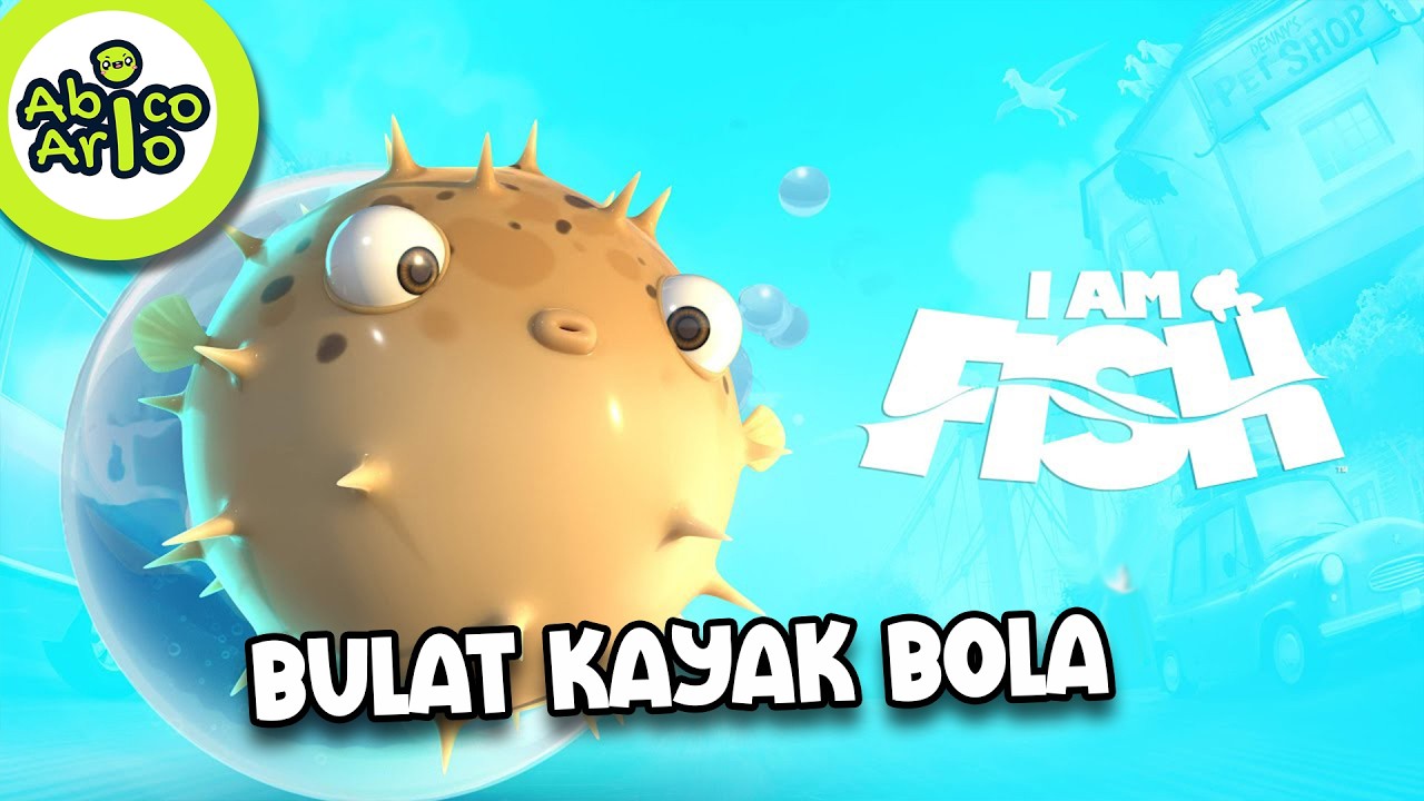 IKAN BUNTAL MENGGELINDING!