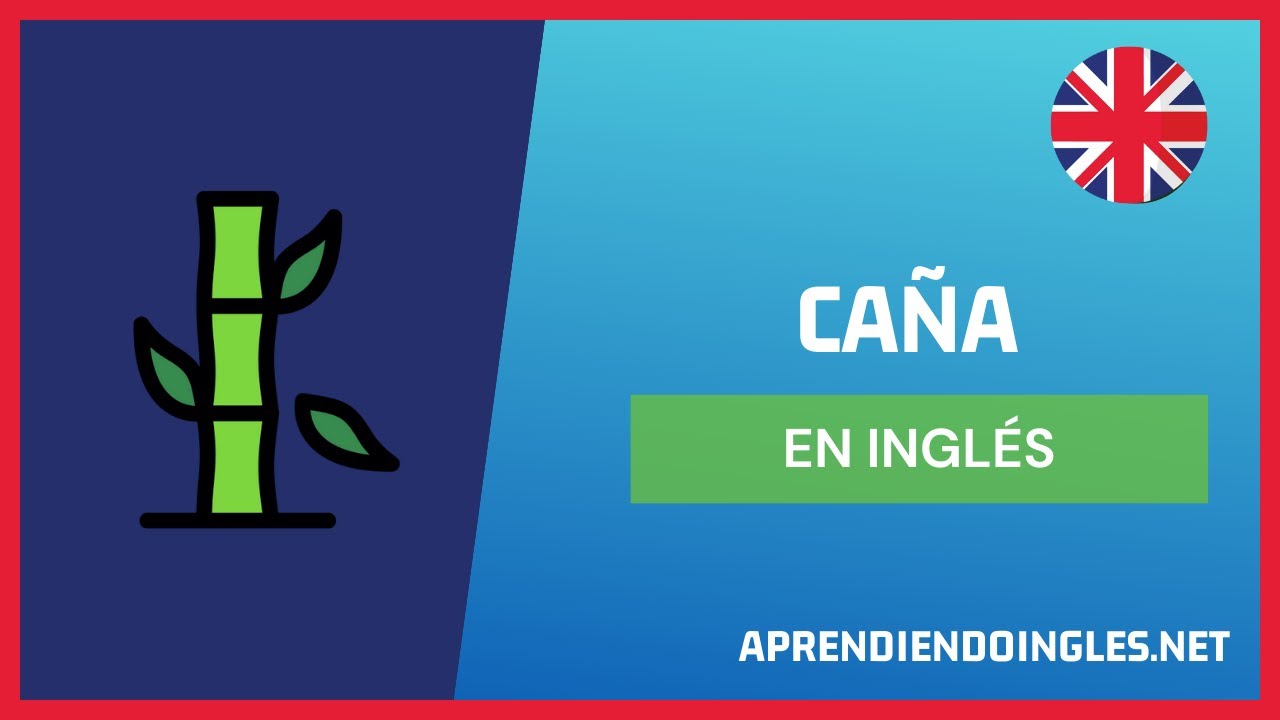 CÓMO se dice CAÑA en INGLÉS 2023 🚀 APRENDE A ESCRIBIR CANE