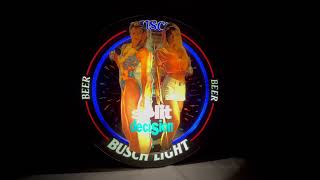 Famous BUSCH LIGHT LIGHTED MOTION BEER SIGN   6 Profile