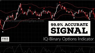 99.9% Accurate Signal| IQBinary Options Trading| Attach With Metatrader 4| Free Download