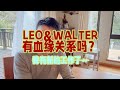 关于近期生活状态/leo和walter有血缘关系吗/我到底是做什么工作的/未来视频还会继续做吗？？？