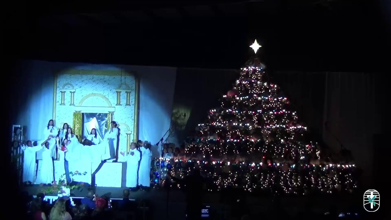 Singing Christmas Tree YouTube