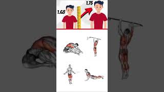 Fitness idea gym Body builder video Hight gain exercise Full body workout#workut #virareel #shorts
