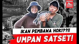 UMPAN SAT SET !! MANCING DI KOLAM PEMANCINGAN MADU