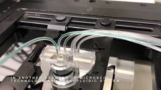 PDMS Cell Traps Chips and Microscopy Experiments - Boston University - Oliveira Lab 2021