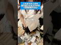 【天性の才能】産まれた時から汚部屋の才能がありました
