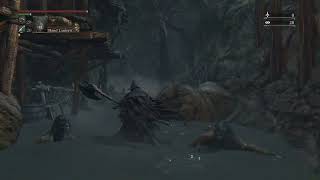 How to unlock door in forbidden woods bloodborne