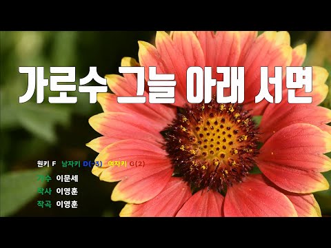 [은성반주기] 가로수그늘아래서면 - 이문세 /MR/가사