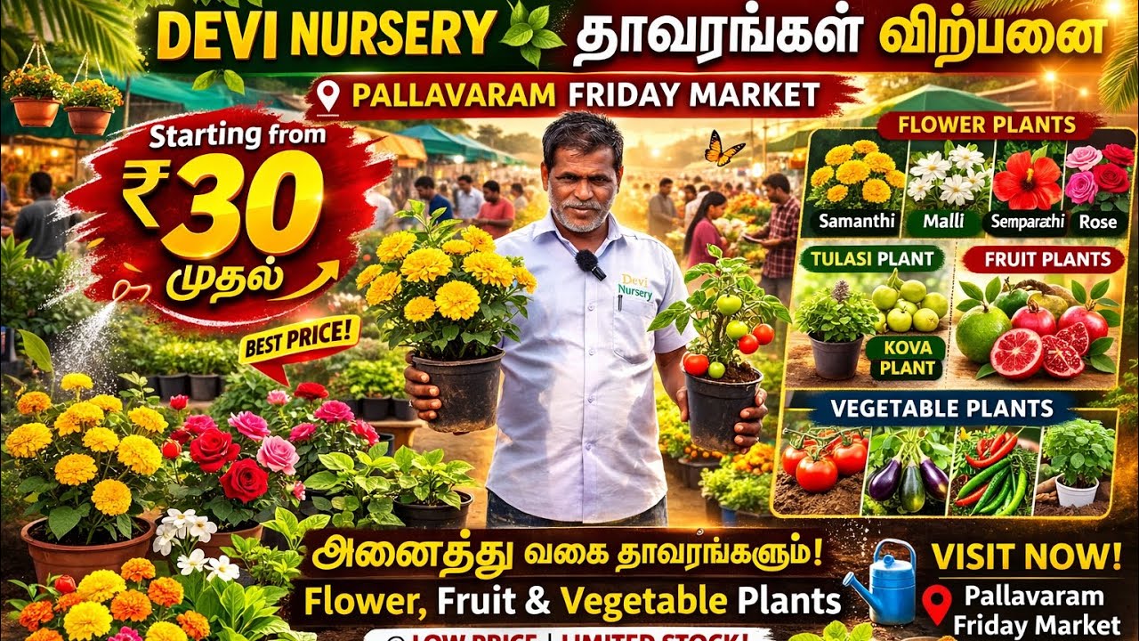 Devi Nursery Plant Sale 😱 ₹30 முதல் | Flower 🌸 Fruit 🍋 Vegetable | Pallavaram Friday Market