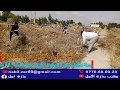 تنظيف المقبرة الجديدة طريق عين قاسمة جهة الكبار من طرف جمعية بذرة الامل في جوان 2020