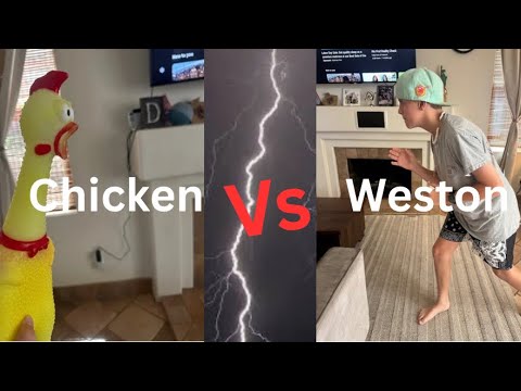 Chicken vs Weston