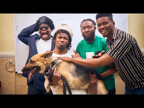 A DOG IN THE CLASSROOM | MR MACARONI | STORM | PROFESSOR HARDLIFE