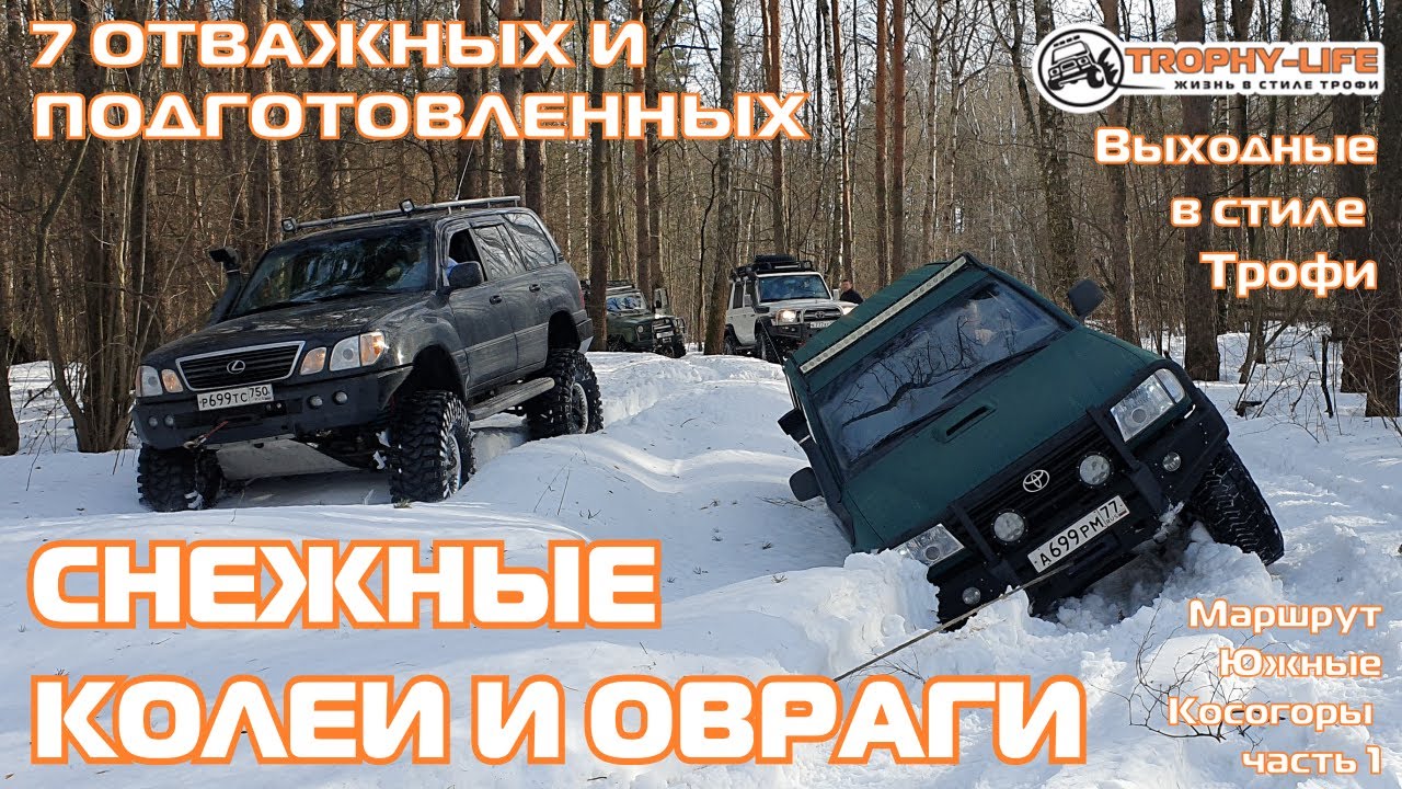 Лексус лайф телеграмм
