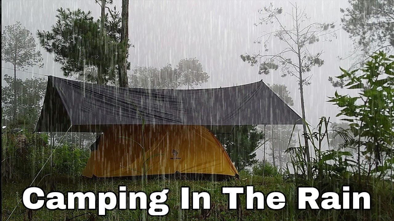 SOLO CAMPING IN THE RAIN, RELAXING IN A COSY SHELTER TENT, ASMR - YouTube