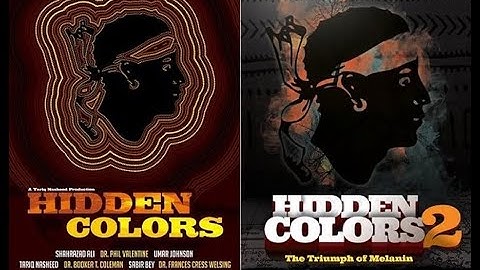 Hidden Colors parts 1 & 2 (full documentary)