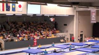 Mens final worldcup 2011 trampolin Odense
