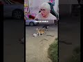 ¡El perro educado! #parati  #edits #raccion #memes #funny #mexico #paratii #s #shortsviral