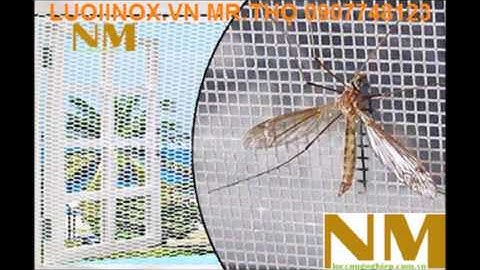 Báo giá lưới chống côn trùng inox 304