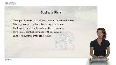 Standards and project management: risk management |  | UPV