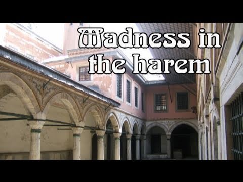Madness In The Harem