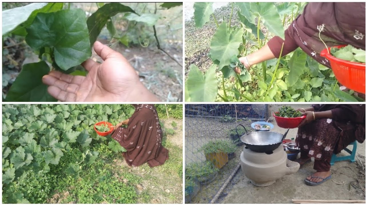 🍀🍀অনেক মজার খাবার পাঁচমিশালী শাক তুলে আজ রান্না করলাম।@faridakitchenwithvlog#foryou..