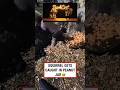 what happened there | Google Veo 3 #funny