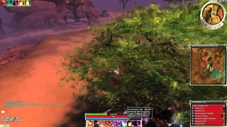 Guild Wars: Zaishen Bounty - Commander Wahli [Hard Mode] (1080p)