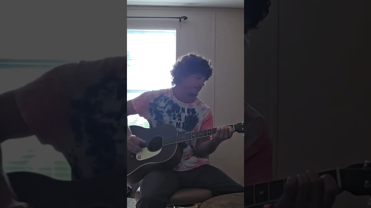 I got a woman, Pink Anderson Cover 