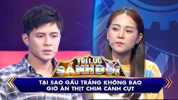 Trí Lực Sánh Đôi | Chuyện gì xảy ra khi Gin Tuấn Kiệt và Tam Triều Dâng về cùng một đội #tlsd