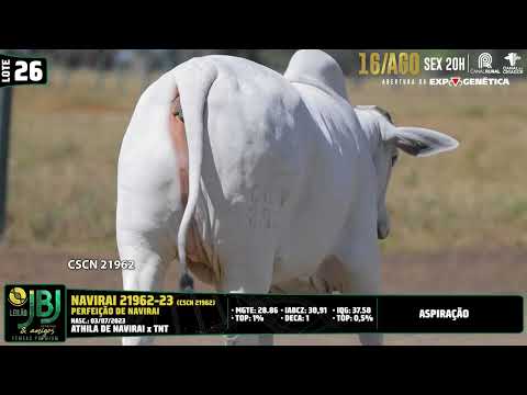 LOTE 26   CSCN 21962  EAO A6560