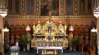 Divine Mercy Sunday - April 11, 2021