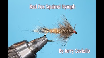 Red Fox Squirrel Nymph