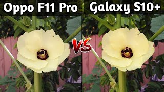 Oppo F11 Pro VS Samsung Galaxy S10 Plus Camera Test Comparison