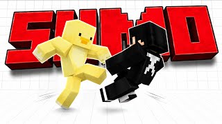 Minecraft Sumo PvP Is INSANE 🥊