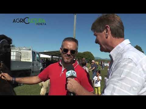 AGRICULTURA VENETA  | 20/08/2023