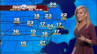 Beth McLeod WEATHER WXYZ