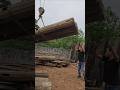 Moving a Wooden Stilt House – Lowering Heavy Beams Day 1