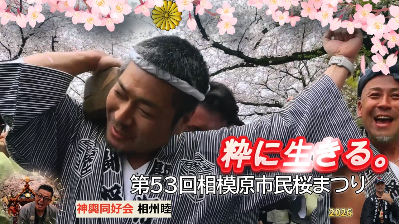 令和8年 相模原市民桜まつり 神輿パレード ☆神輿同好会 相州睦☆担ぎ