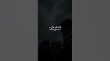 ﴿قُلْ إِنِّي أَخَافُ إِنْ عَصَيْتُ رَبِّي عَذَابَ يَوْمٍ عَظِيمٍ﴾ #محمد_ايوب #سورة_الأنعام