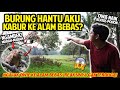 BURUNG HANTU AKU KABUR KE ALAM BEBAS? NGAJAK OWIE KE ALAM BEBAS! RANTAINYA AKU LEPAS! INI REAKSINYA!