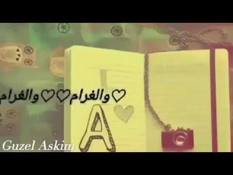 حبي إلك مو بس كلام