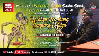 Live: Ki Bambang Wiji Nugroho - Wahyu Kembang Cempaka Mulya