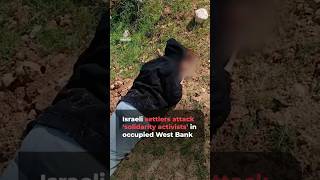 Israeli settlers violently attack foreign ‘solidarity activists’ | AJ #shorts